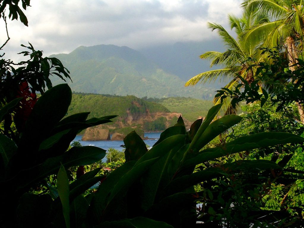 Volontärturism Dominica