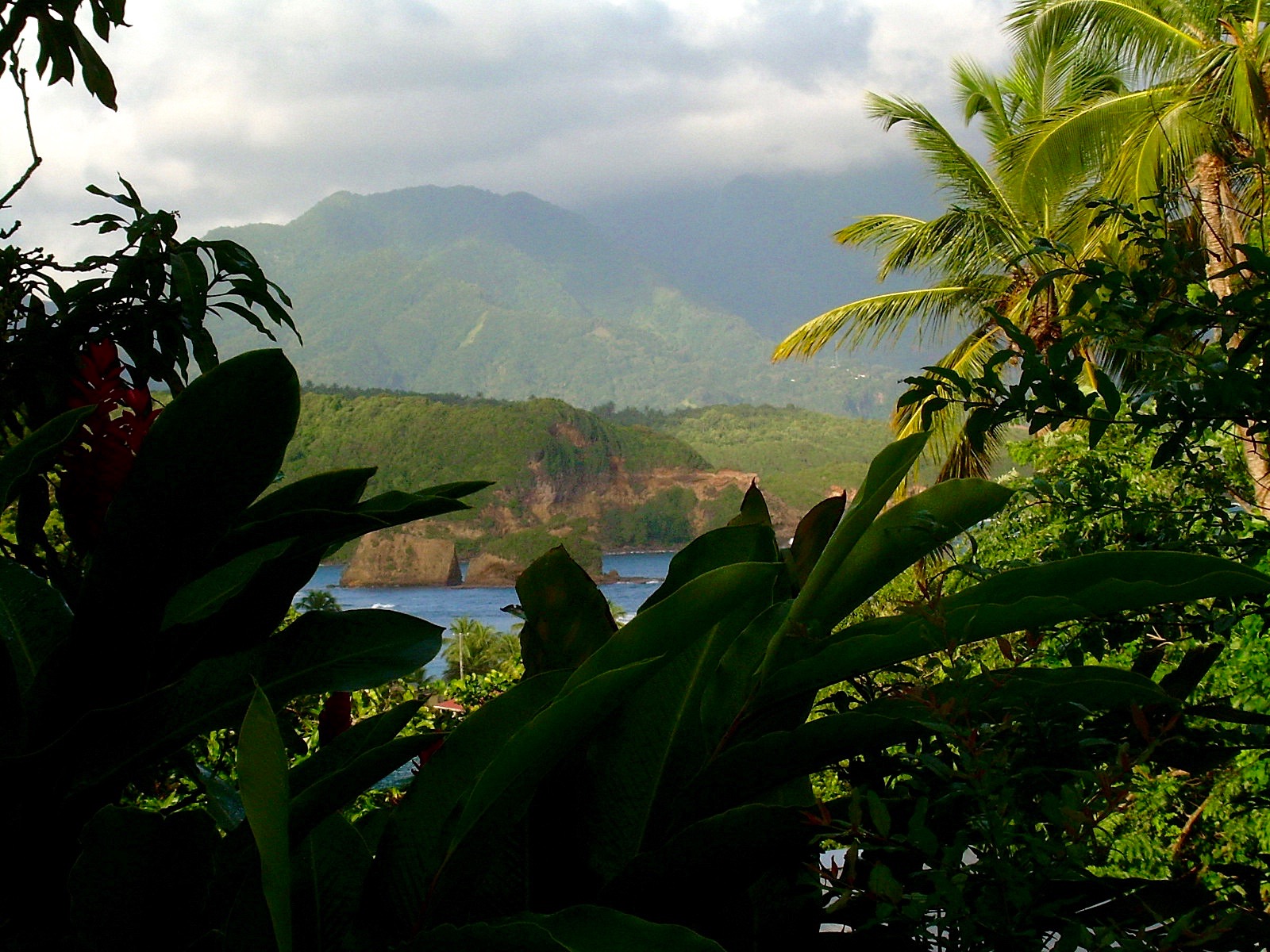 Volontärturism Dominica