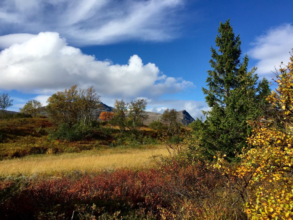Höstvandring i Åre