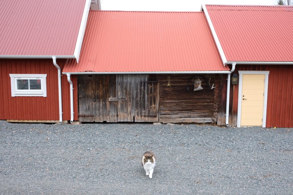 Smålandstorpet med den gamla ladan.