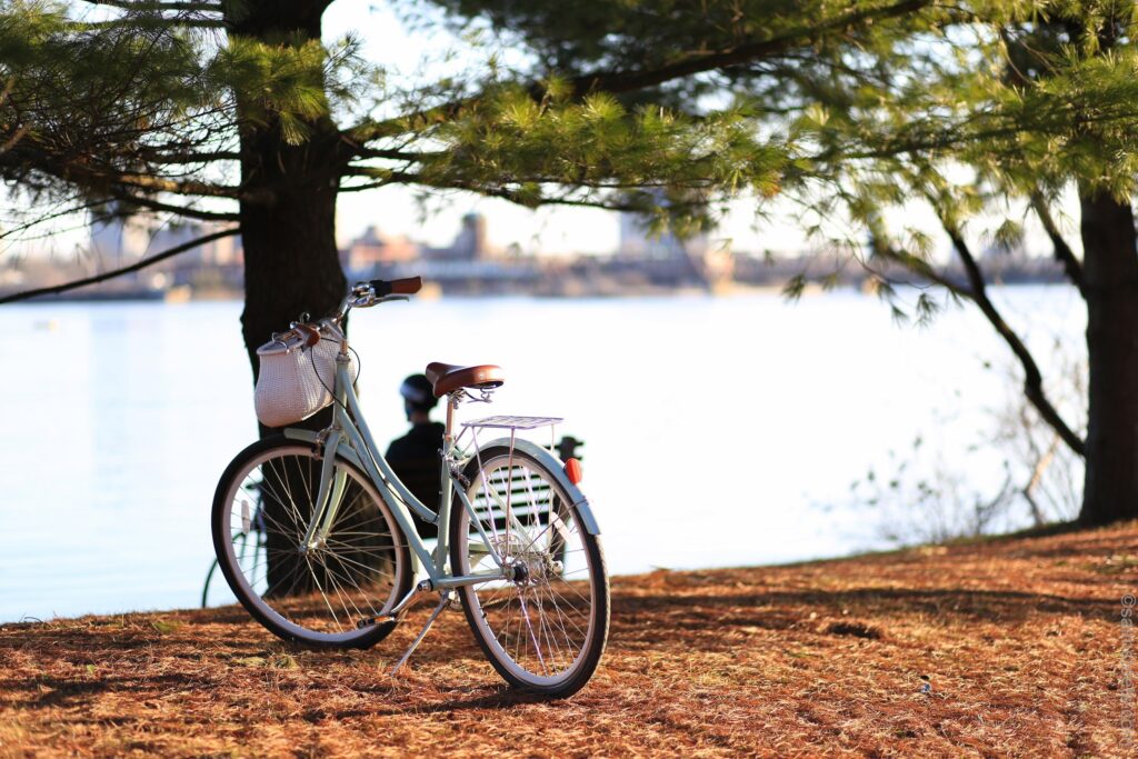 Transporten på plats är också viktig att tänka på när du vill resa hållbart. Att ta sig fram på cykel är både miljövänligt och bra för hälsan.  