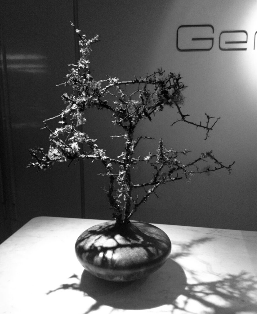 Entre Geranium restaurangtips Köpenhamn