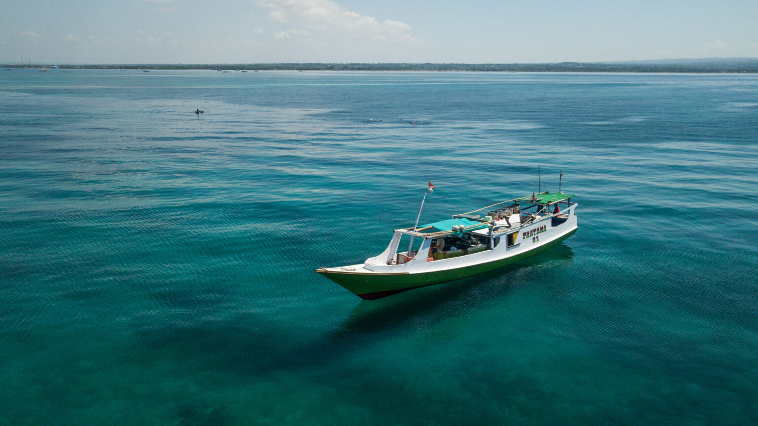 Turism vs hajfiske Lombok project hiu