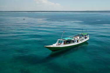 Turism vs hajfiske Lombok project hiu