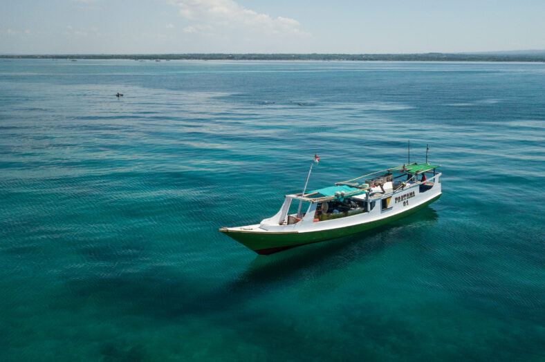 Turism vs hajfiske Lombok project hiu