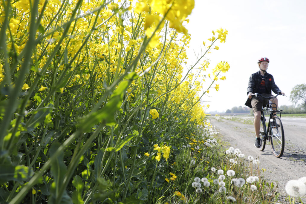 Strövtåg i hembygden 10 svemestertips