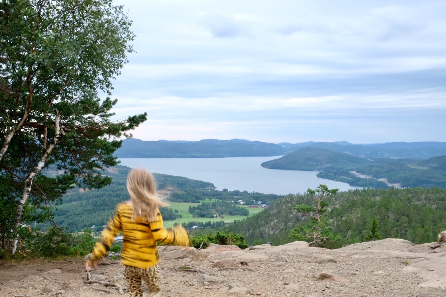 Sex tips världsarvet Höga Kusten