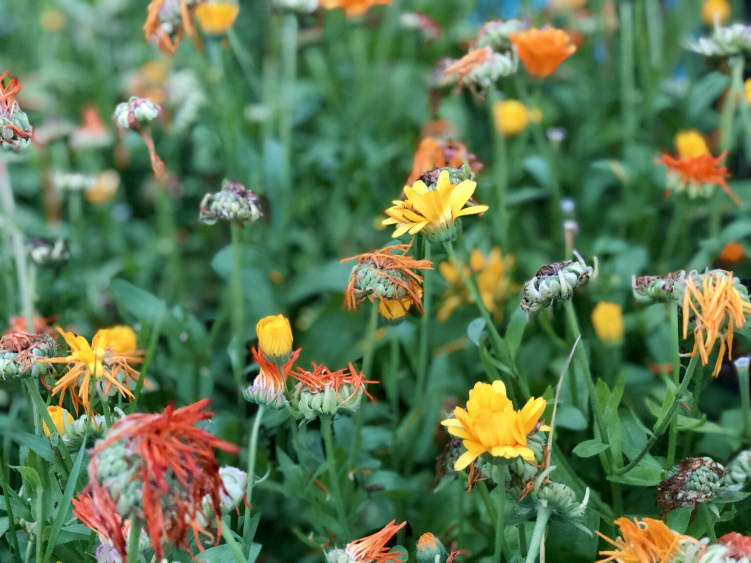 Omdefiniera livet och resor