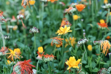 Omdefiniera livet och resor