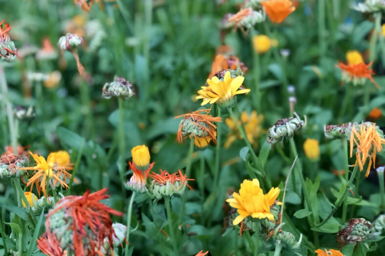 Omdefiniera livet och resor