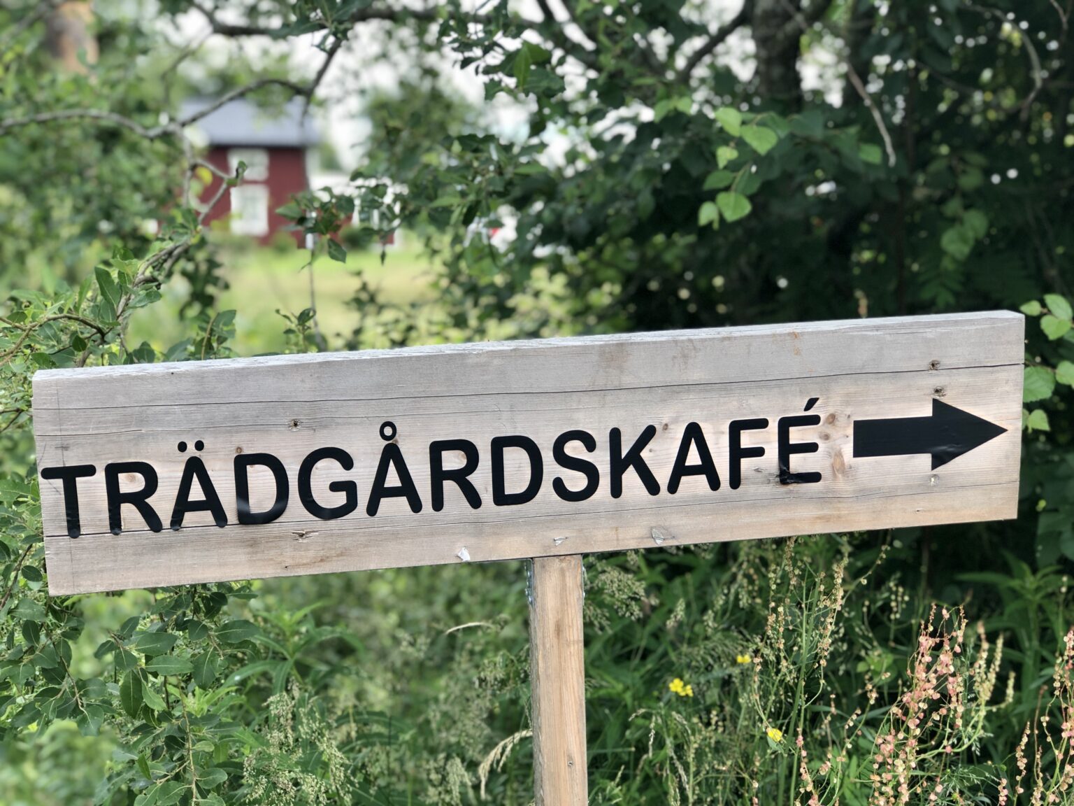 Trädgårdskaféer Sverige
