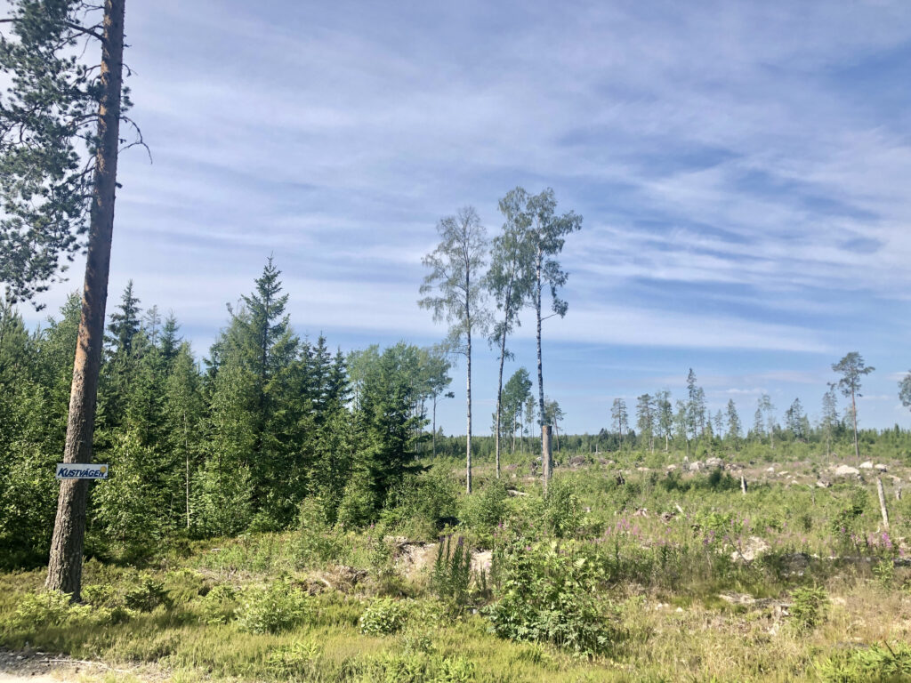 Kustvägen