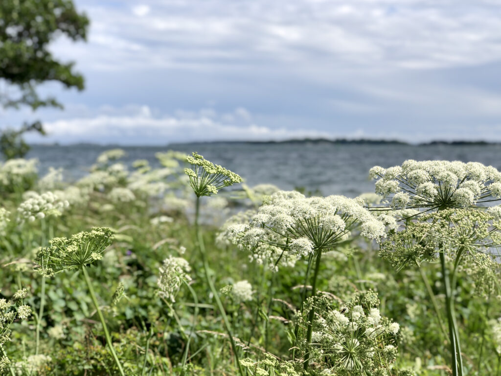 Hållbarhet ingen nisch - det är framtiden