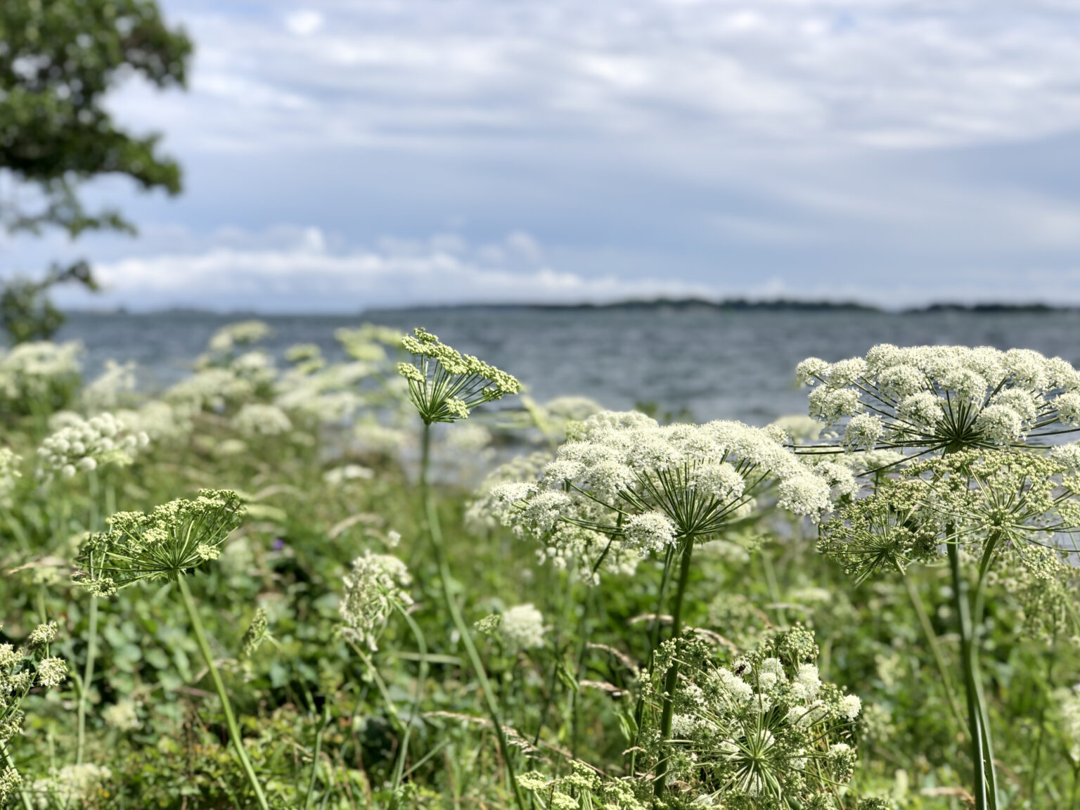 Hållbarhet ingen nisch - det är framtiden