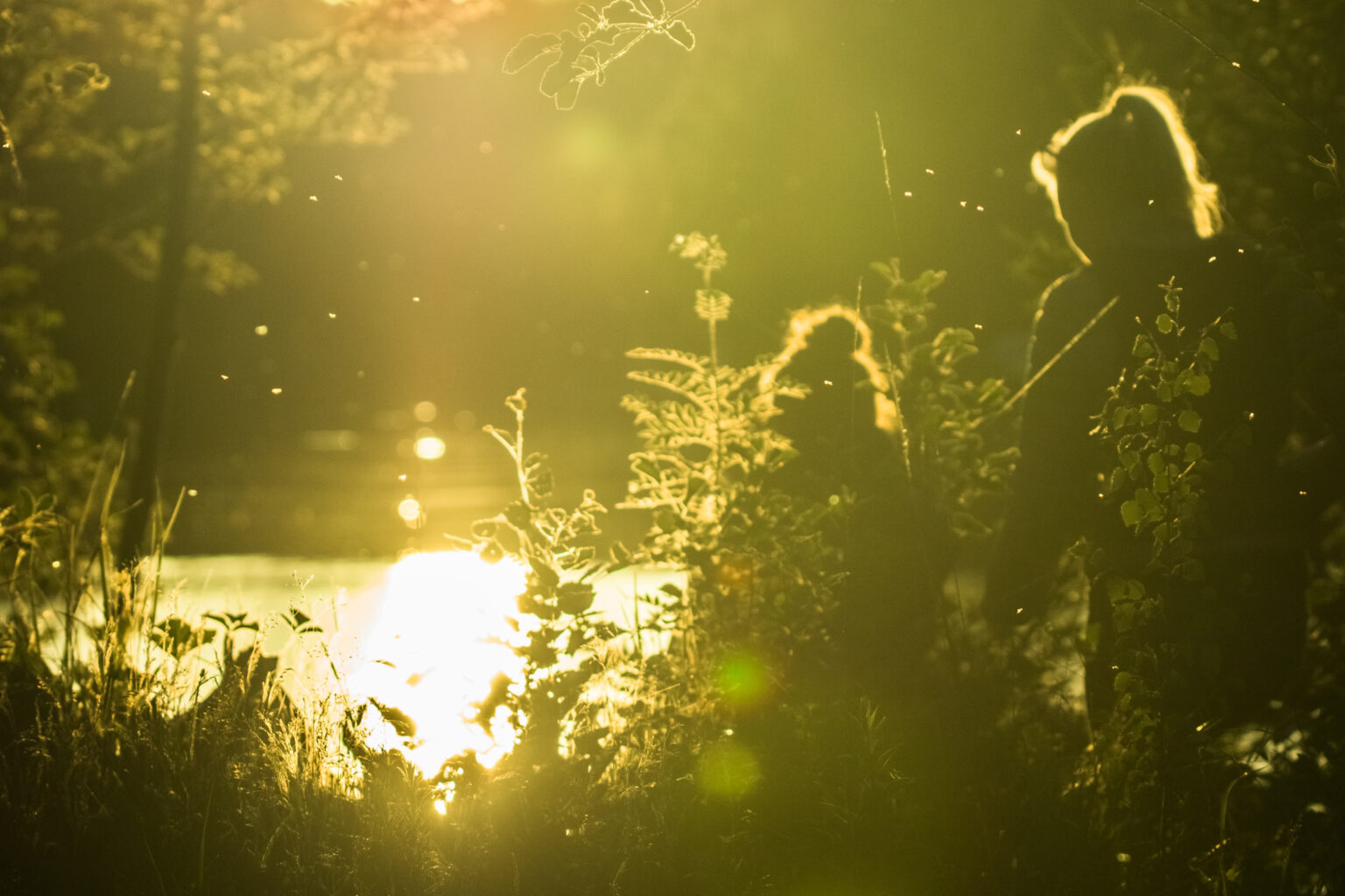 Biologisk mångfald res med naturen i åtanke
