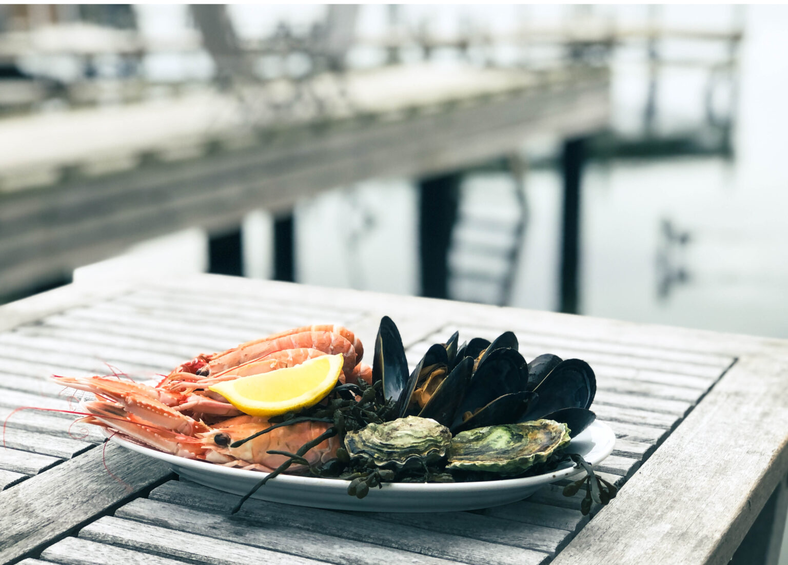 Ostron och kajakpaddling Grebbestad