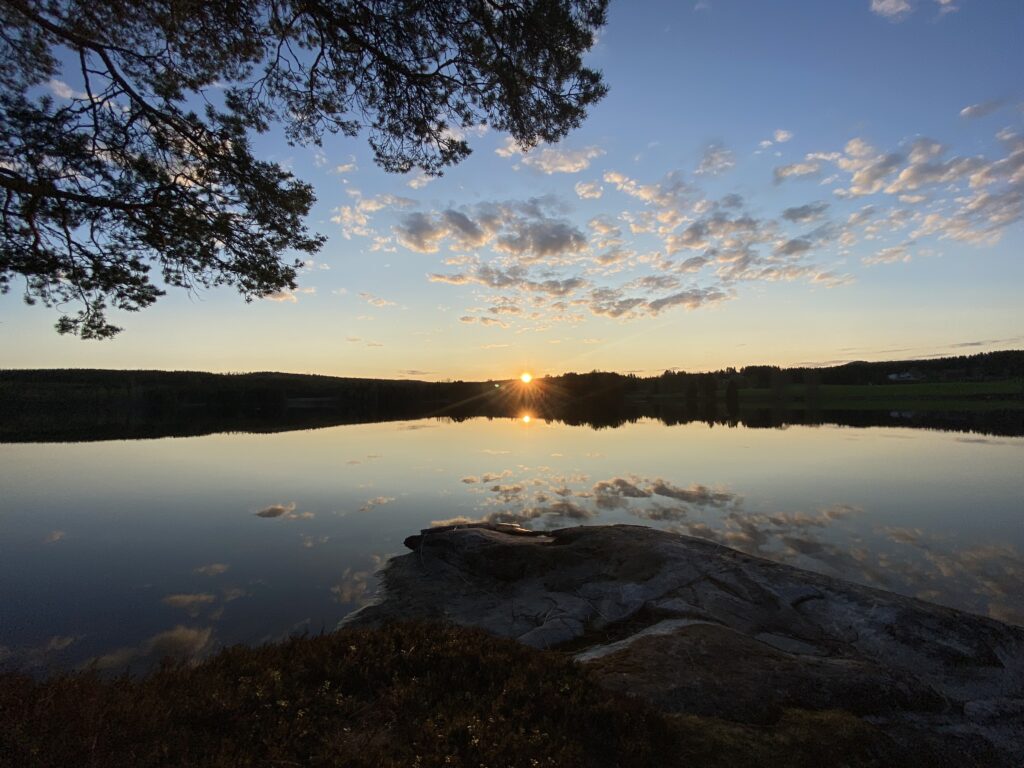 ansvar hållbart resande