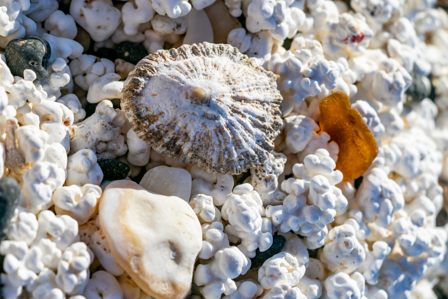 sociala medier och resor