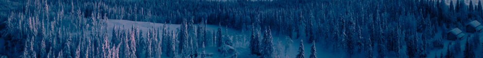 care for the arctic swedish lapland