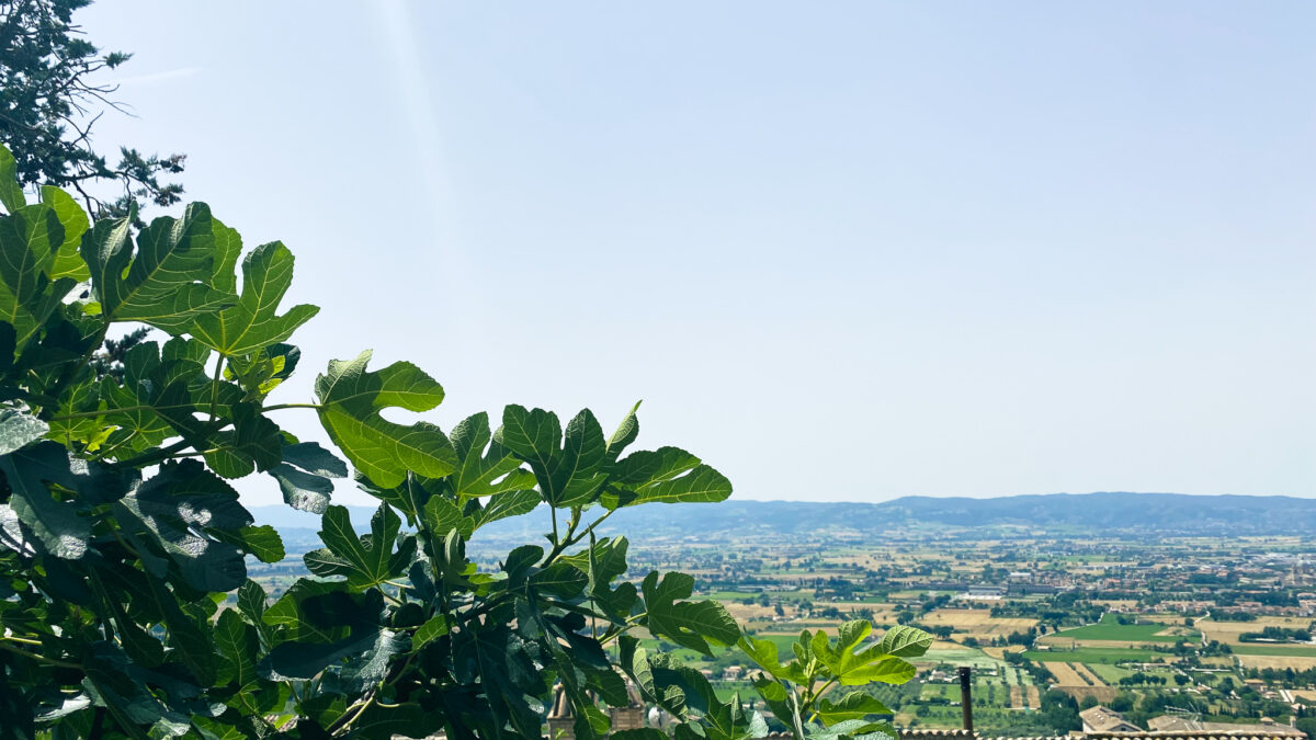Tåg till italien tur och retur
