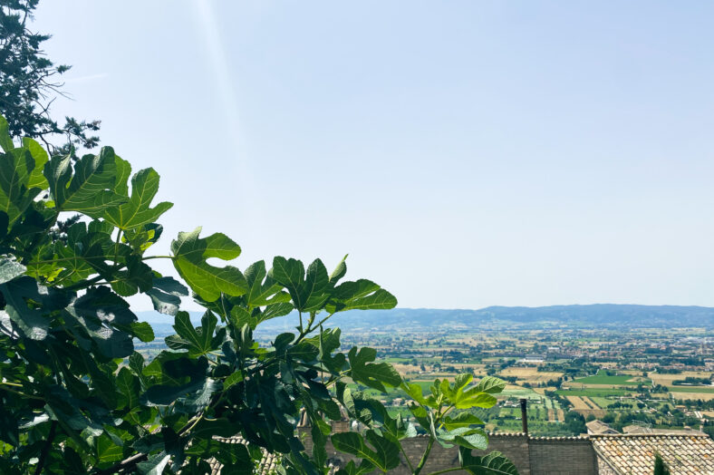 Tåg till italien tur och retur