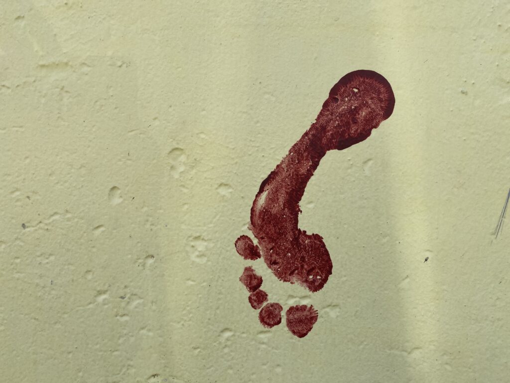 fotavtryck bekymmer resor