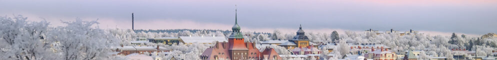Östersund vintervy
