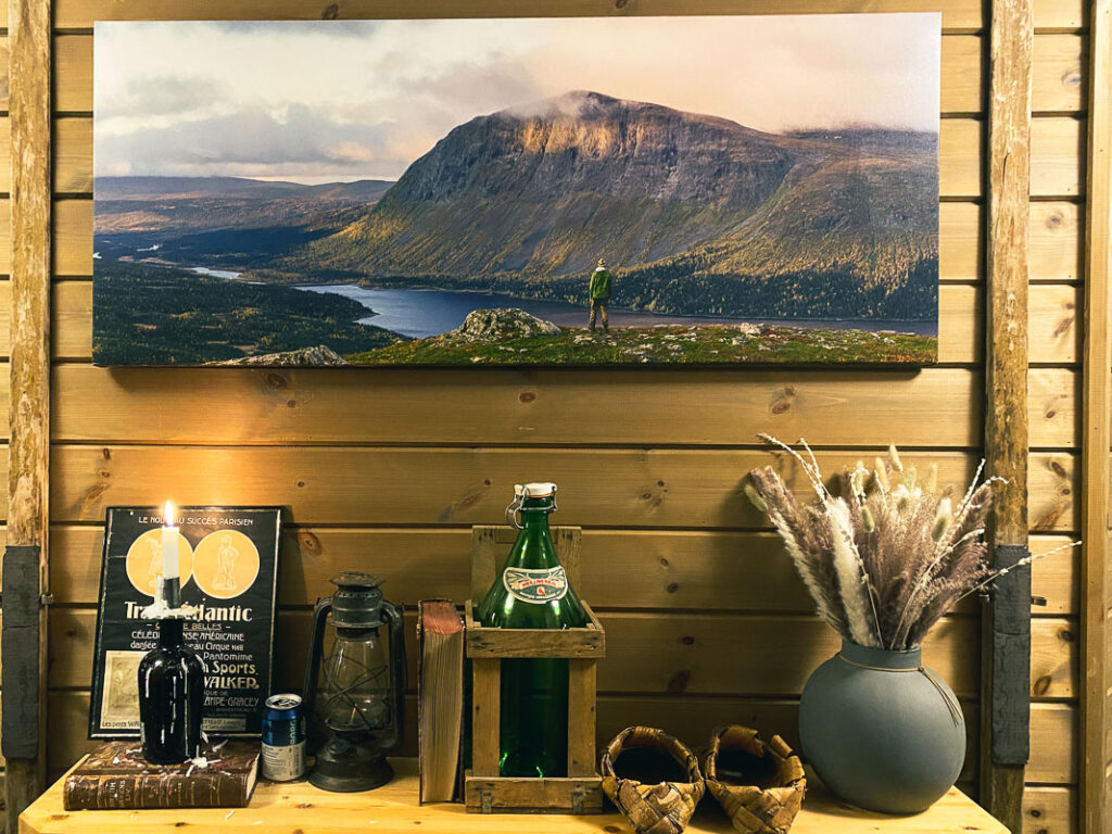 Borgafjäll byn som går mot trenden