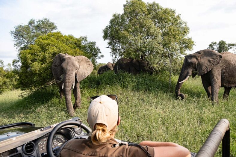 Safariresa Afrikakompaniet