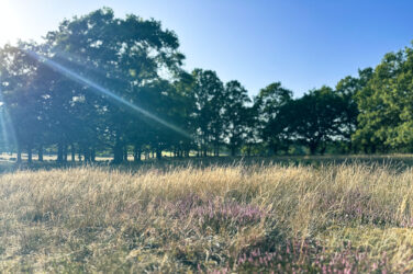 Myter sanningar tips hållbart resande