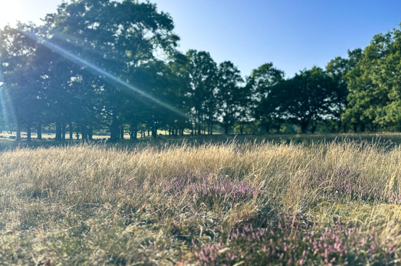Myter sanningar tips hållbart resande