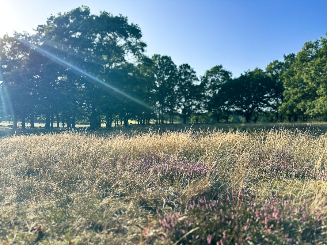 Myter sanningar tips hållbart resande
