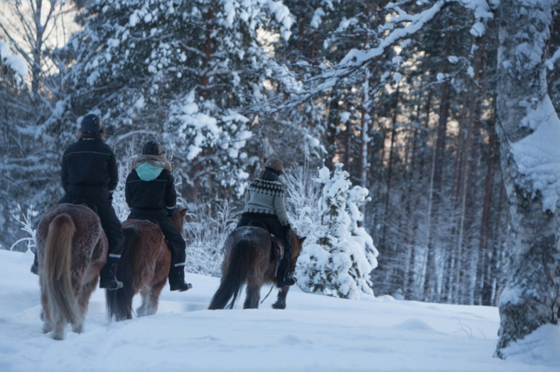 Horses of Taiga Ekoturism